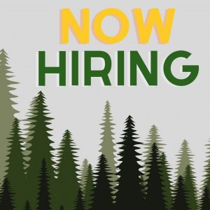 Now Hiring: Clipart illustrations of green trees on a grey background with the words "Now Hiring" in large text in dark yellow and dark green.
